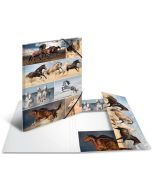 Chemise à rabats A3 - Motifs Chevaux  HERMA