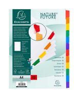 EXACOMPTA : Jeu de 12 intercalaires carte blanche et onglets couleurs plastifiés 2312E