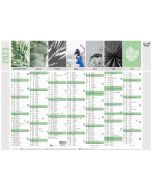 Recto Calendrier mural 2023 - 550 x 405 mm QUO VADIS Equology Modele