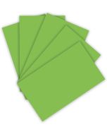 Feuilles de couleur A4 - 210 x 297 mm - Vert clair : FOLIA Visuel