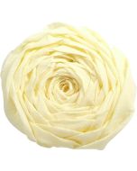 Papier Crépon - Beige : CLAIREFONTAINE Photo