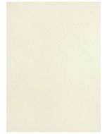 Photo Plat de couverture pour reliure A4 - Carton Grain Cuir - Ivoire mat PAVO (8011216)