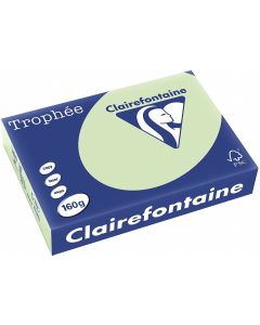 Ramette de papier Trophée de 250 feuilles A4 160g - Vert Nature : CLAIREFONTAINE Photo