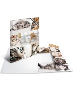 Chemise à rabats - Motifs Chats - A4 : HERMA Modèle