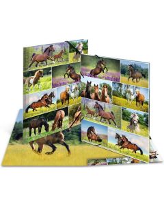 Chemise à élastiques en carton - A3 HERMA Animaux Chevaux dans le pré