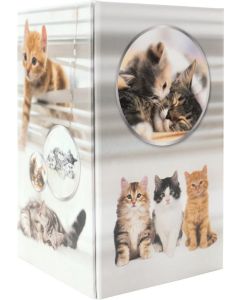 Pot à crayons en carton - 80 x 80 x 135 mm HERMA Animaux Chats