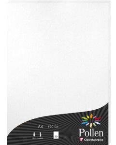 Feuilles de couleur A4 - 210 x 297 mm - Blanc irisé POLLEN Lot de 25