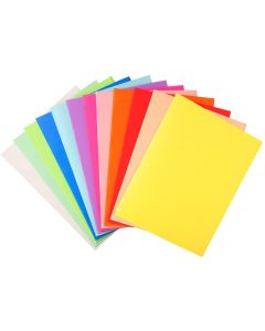 410000E EXACOMPTA Chemises pour dossiers A4  FOREVER 220 - Assortiment