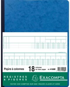 EXACOMPTA 4180E Registre de 18 colonnes 320 x 250 mm