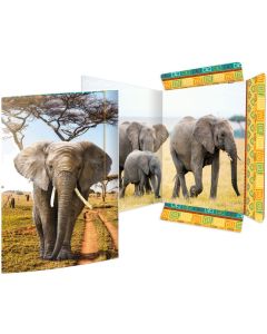 Carton à Dessin à élastique - A3 - Éléphant RNK Verlag