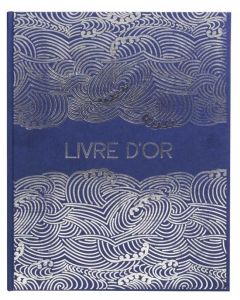 Livre d'or - 210 x 190 mm - 140 pages - Turquoise : EXACOMPTA Skandi