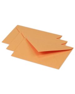 Photo Enveloppe POLLEN Clémentine Format  75 x 100 mm 5490C