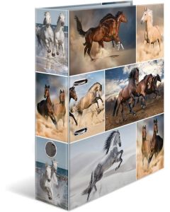 Classeur à 2 anneaux - Tendance métropole - Berlin : HERMA image