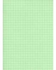 Fiches Bristol - 75 x 125 mm - Vert quadrillé ELVE B7513V vert