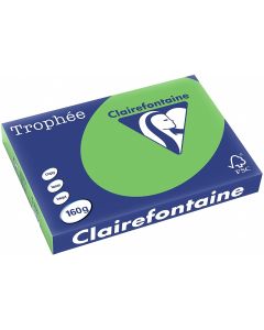Ramette de papier de 250 feuilles A3 160g - Vert Menthe : CLAIREFONTAINE Trophée Modèle