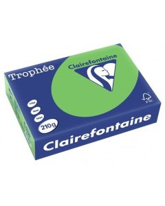 Ramette de papier de 250 feuilles A4 210g - Vert Menthe : CLAIREFONTAINE Trophée Visuel
