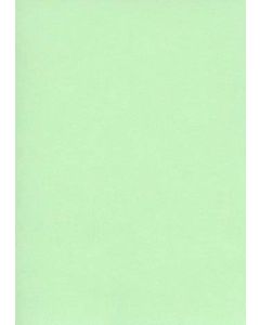 Fiches Bristol Unies A5 - 148 x 210 mm - Vert : ELVE Lot de 100 Visuel