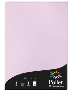 Photo Feuille de couleur Lilas 210 x 297 mm A4 POLLEN 4252C